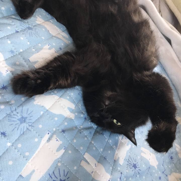 Ab47efce c90a 4b08 a641 d42ee8f92dad 1563531647497