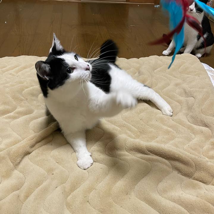 Ab48233c 734e 4232 a004 8111cb29d813 1681002917728