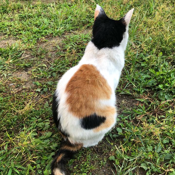 Ab483feb 6dc3 4648 8f26 ff085aae6b30 1600121636279