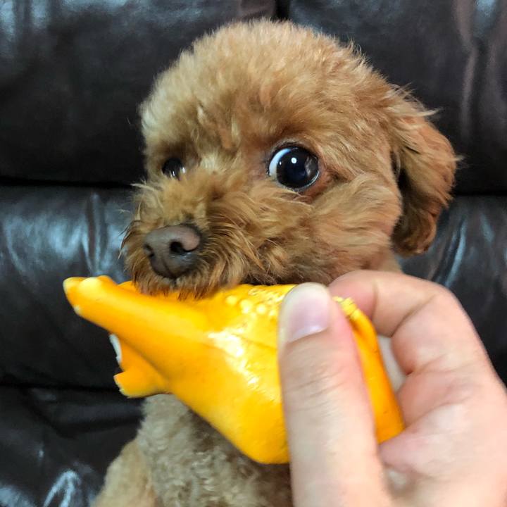 Ab4862b5 2678 40ec b66f 54aaba2115e5 1551133676379