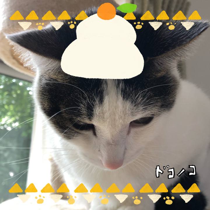 Ab48b08e d098 41e7 a317 576086a99dbd 1704202317404