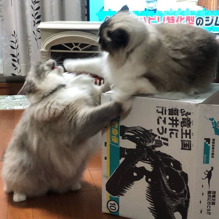 Ab48b3f8 65ec 413b 89d9 a6017575166e 1544441156587