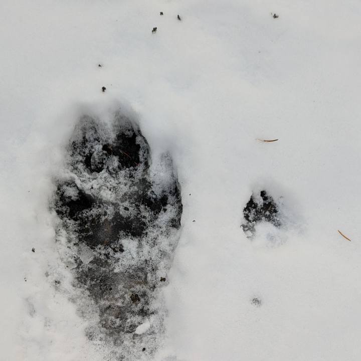 Ab48c29c db15 4433 b1b1 567f2bb0702a 1732086950403