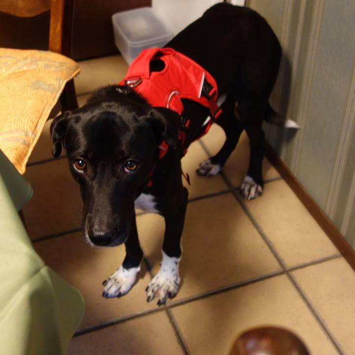 Ab48de13 56d6 409d a35b e064703ac579 1582248350270