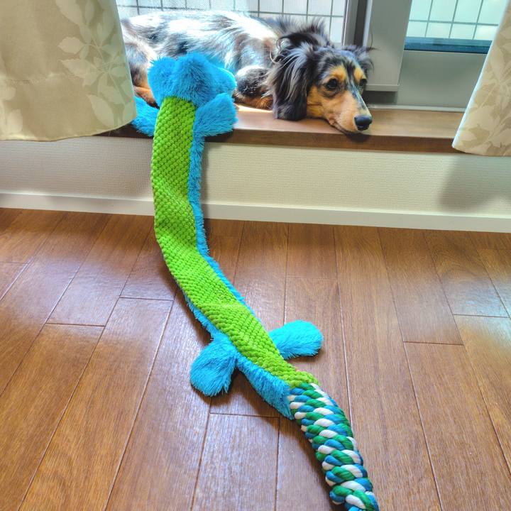 Ab490401 1718 4fbb 8af2 9d569b30ab7f 1717550184250