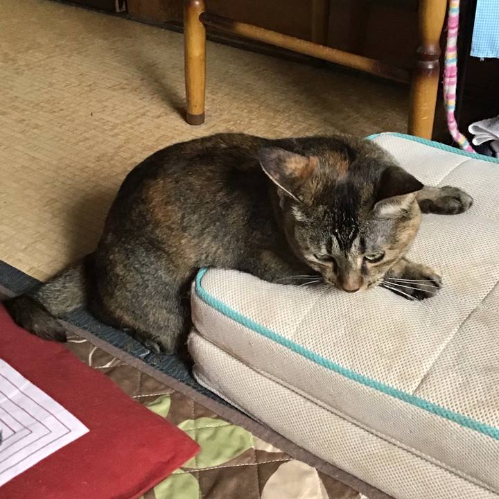 Ab4936c5 8767 4b8e b628 abfb993f66f0 1663817709737