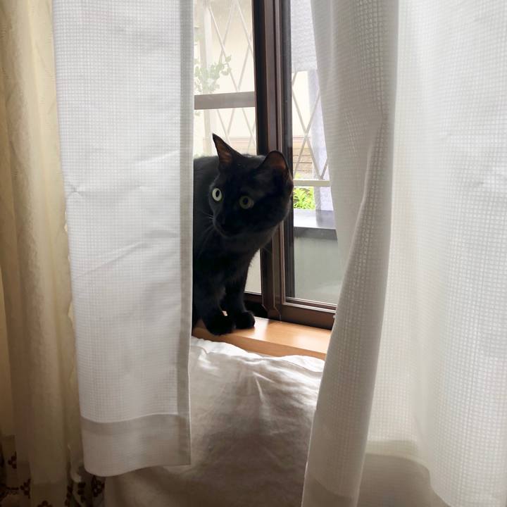 Ab494db9 867b 447c 8b41 4b3016c0bdd5 1568439305740