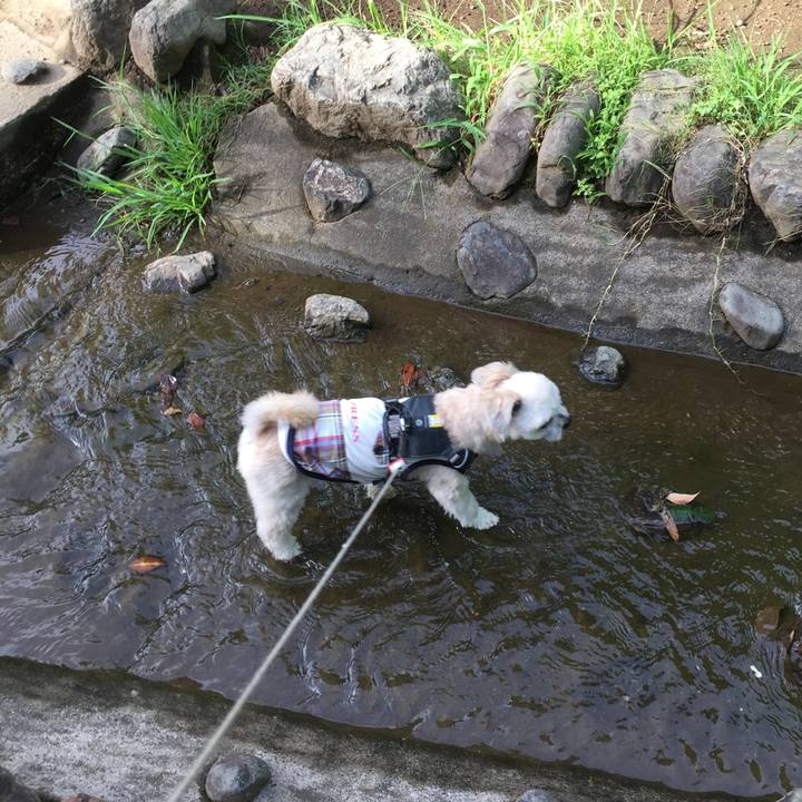 Ab4987ac 7d04 4920 8748 80f67caa04ed 1565767610484