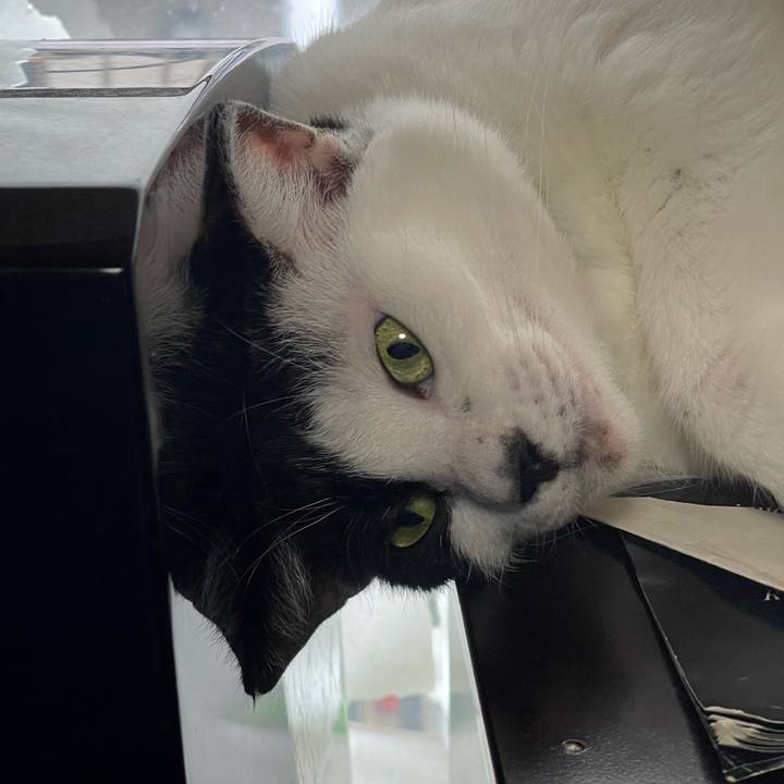 Ab499d8c d6b9 442a ae54 5cc769cbcec6 1754703692375