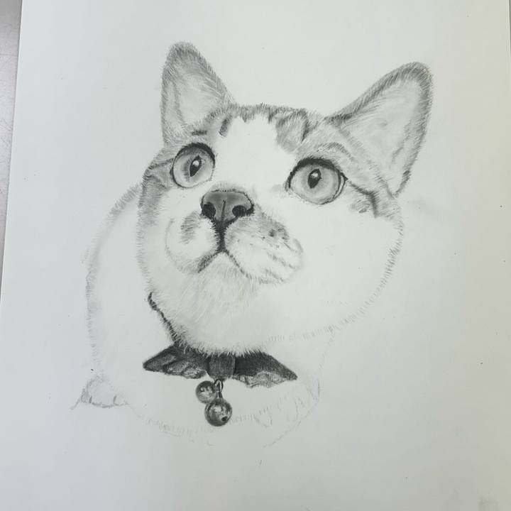 Ab49ddbc 820d 42ab a828 ce22110d9a6c 1759393901355