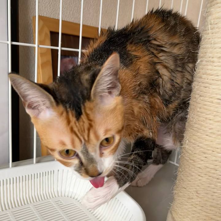 Ab4a0b26 70c9 4942 9ac1 35e485bb1be6 1665800831465