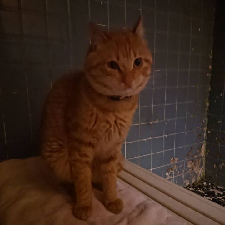 Ab4a1bfa 3fe6 4fb9 88e6 44b8858a6a0f 1654429012312