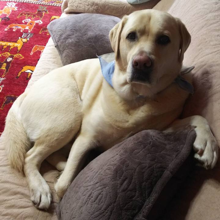 Ab4a2ffc bf84 448f 961b b8f12e59080f 1582703784976