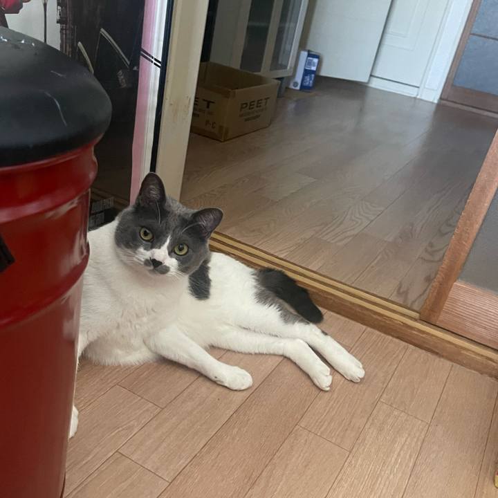 Ab4a6224 a0cf 4c02 afdb e24ab69414d6 1678085629226