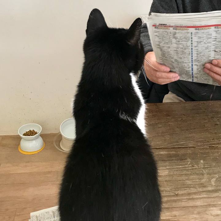 Ab4aa936 c468 4516 a177 93f858a8fb54 1554260691986