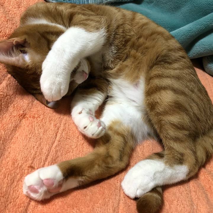 Ab4aac63 5ed8 4b5a b5e4 e623cec494b7 1555410783397