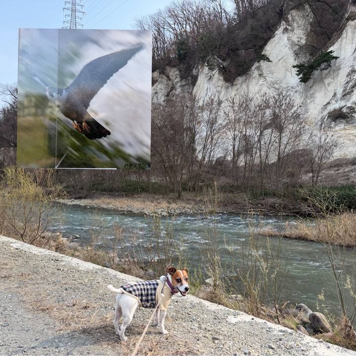 Ab4ab420 7e19 42b9 b2c3 f0693159b037 1774709996855