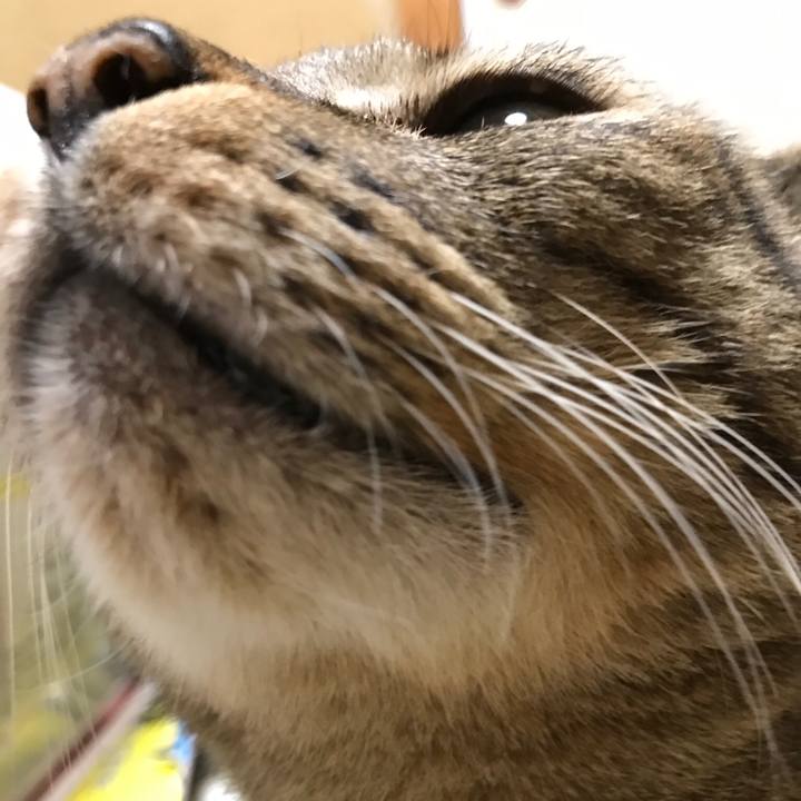 Ab4b1290 d753 4d73 970d 4c9b0ba20eb1 1523063790107