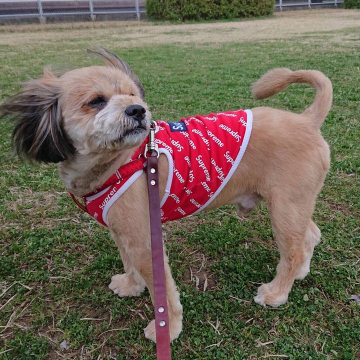 Ab4b61b8 2415 4bac bee0 55c45c5a55b4 1584263128846