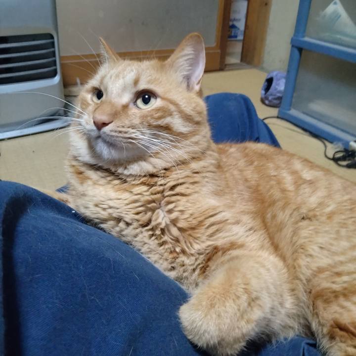 Ab4b9ebf e06d 4941 83e0 6d21117e8031 1701682096967