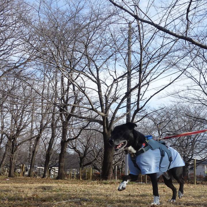 Ab4ba9ad a512 4e60 b1d2 b33711ad526c 1707439796191