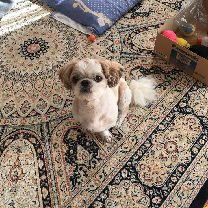 Ab4bb941 58c0 47ca 9f3d 77eb82ddde49 1545947901109