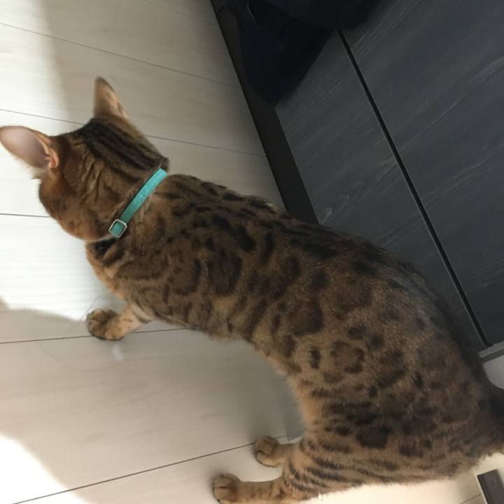 Ab4bc96c a4cf 4c1b a479 0a5f6d28c0b1 1535113969768