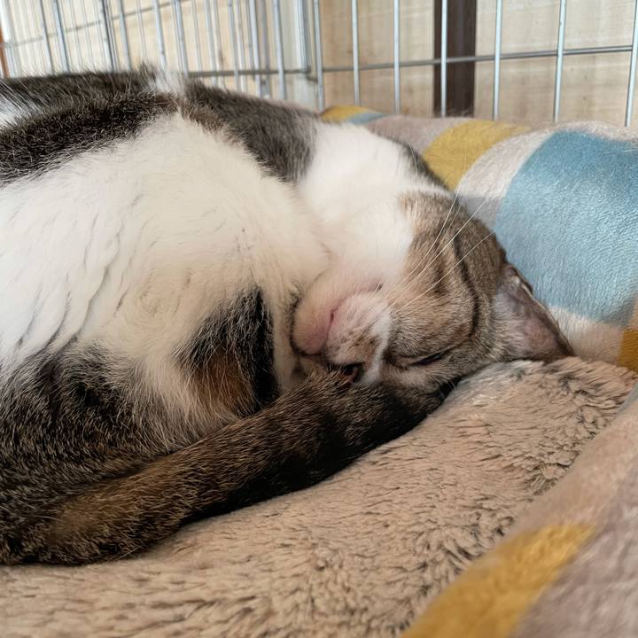 Ab4beb4a 34c4 44ee ab5b 39fd31549aee 1634262069503