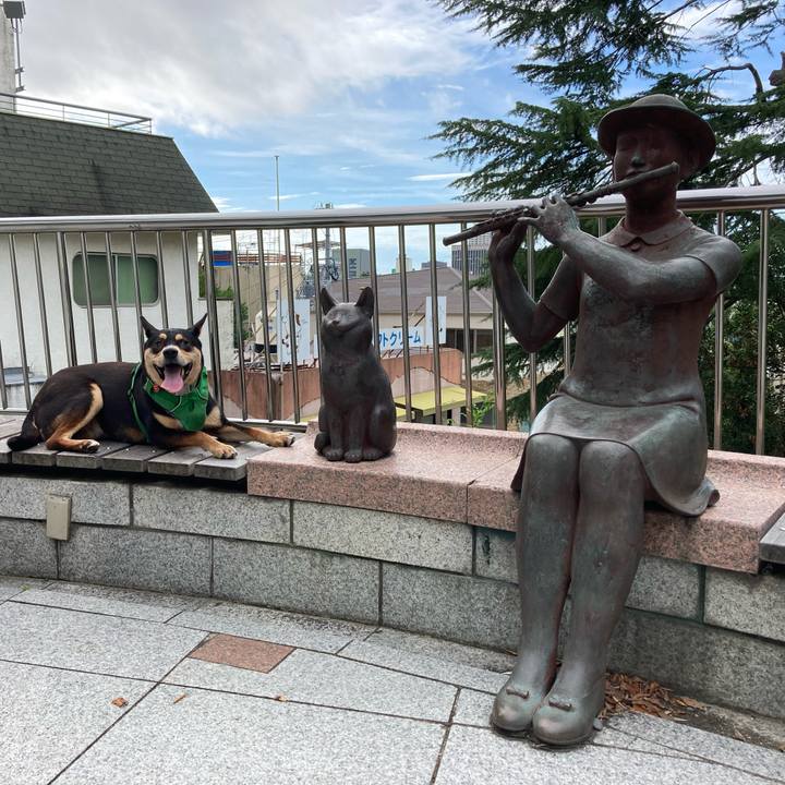 Ab4bf460 8cc8 4670 90d7 c1d09557f25f 1597023557068