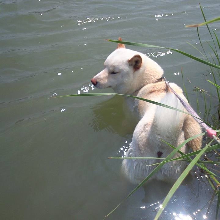 Ab4c0b01 f4ff 4672 9465 33d0ed20b5b2 1648291951733