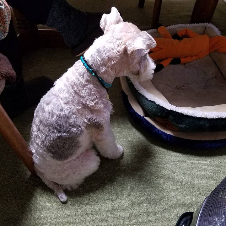 Ab4c1cb8 44ee 4d27 8c86 2e59a58fa8c9 1547078371138