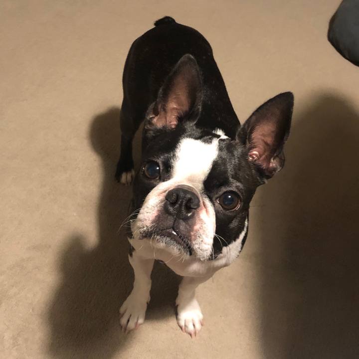 Ab4c91ba d113 45e1 a24d ced60d1a0e2b 1598758530074