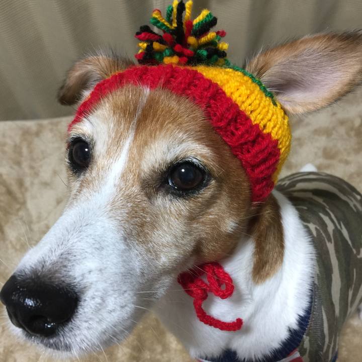 Ab4cad1f 7c47 4b43 a570 081fc3584819 1510233056336