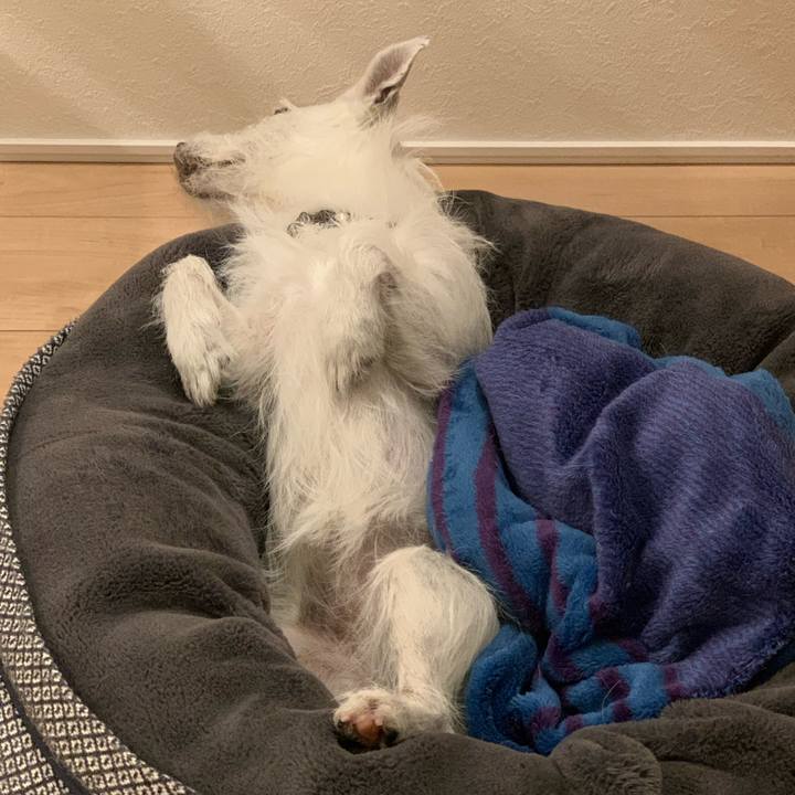 Ab4ccb1d e29c 4210 928e ee421e8d7347 1653397398283