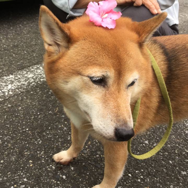 Ab4d4b14 b3e6 4686 b2ac 510d8f38c018 1570772640655