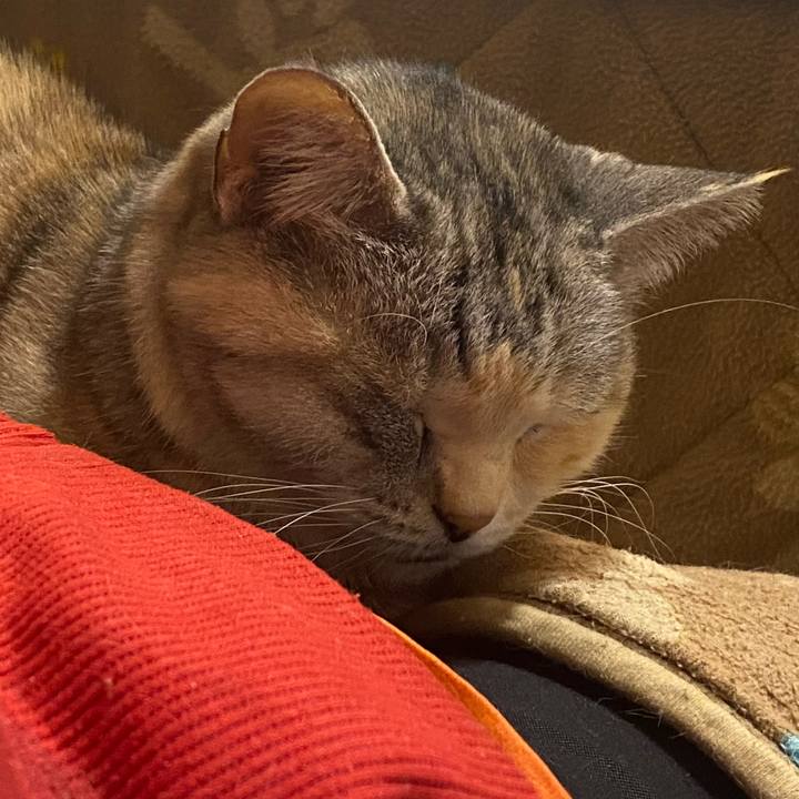 Ab4d8b3c 5447 4d07 9b1e 7826ae5841bd 1643731936962