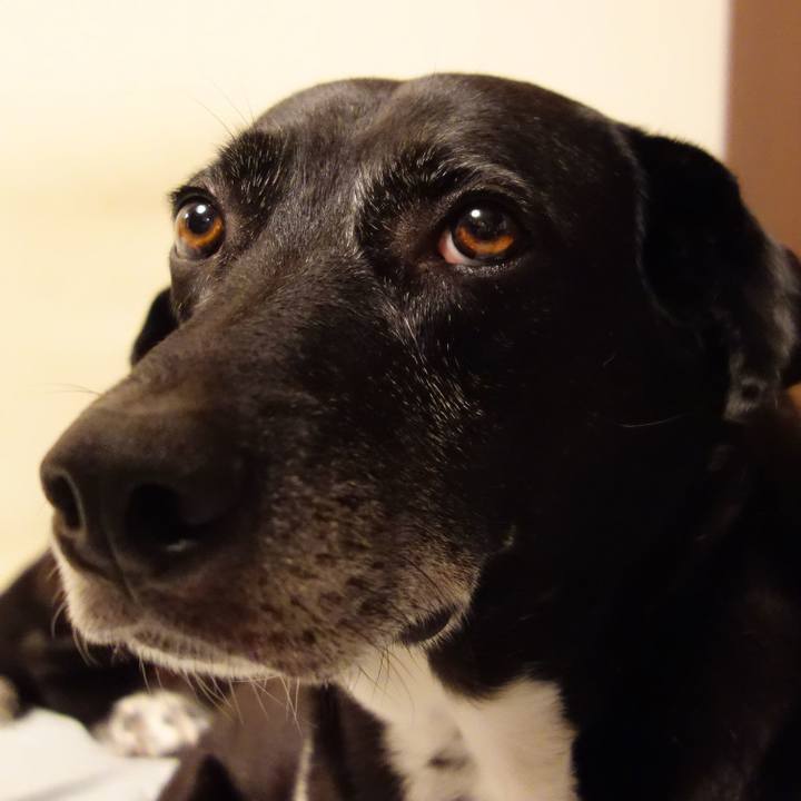 Ab4d8b43 b787 43d0 9454 608facb9e412 1724669773410