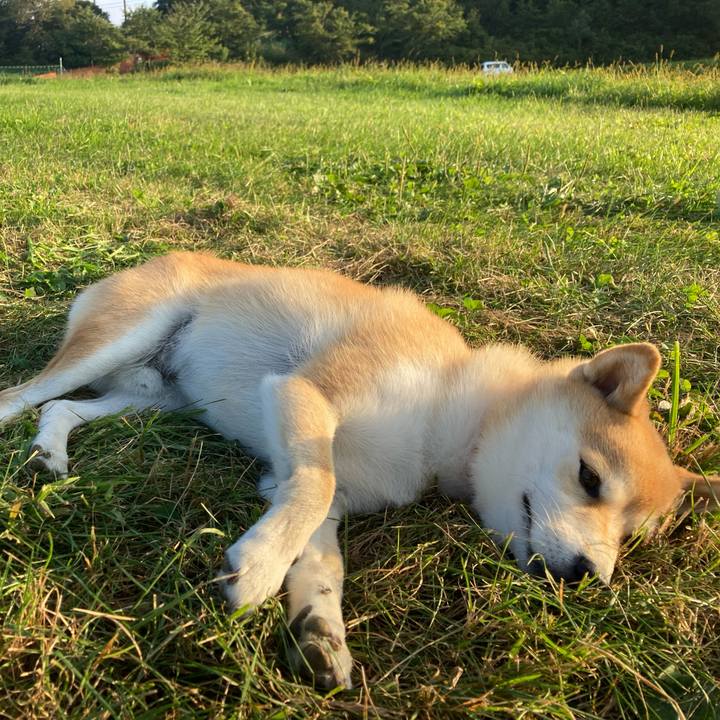 Ab4d9a4e cebc 4f94 a600 22056336d600 1663314085565