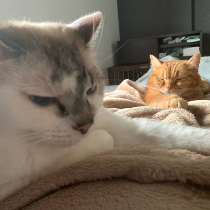 Ab4d9cb6 52b8 44be ba22 e911f3696256 1665355064644