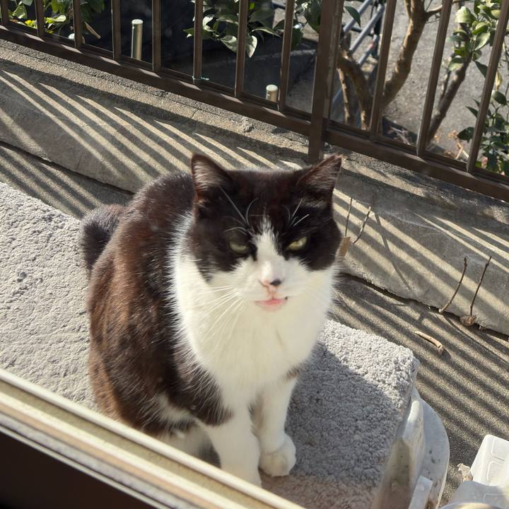 Ab4da4df 9ca2 4330 b172 1f45f248e25c 1772339869159