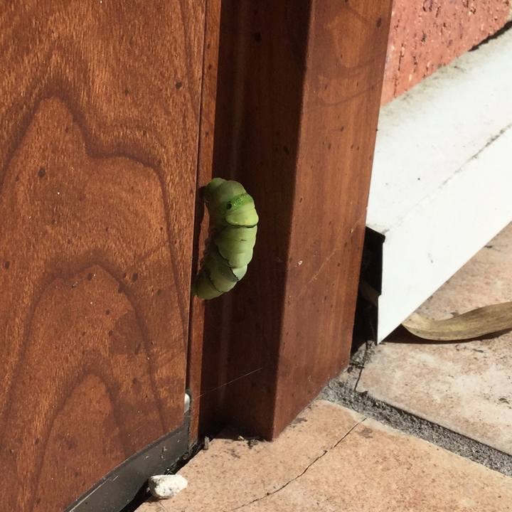 Ab4e01fa b8a6 4e3e be36 1814afa38046 1531265538356