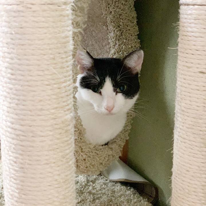 Ab4e14ad ea31 40d1 8961 1c4732da4b7a 1539916657617