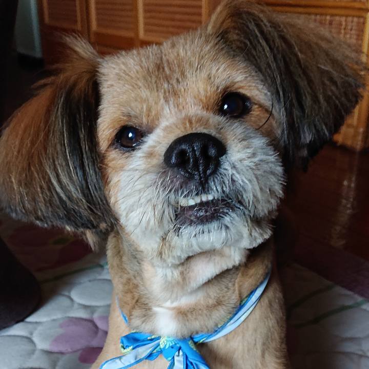 Ab4e3746 70c5 4fd5 82a5 b954e21da951 1565428777348