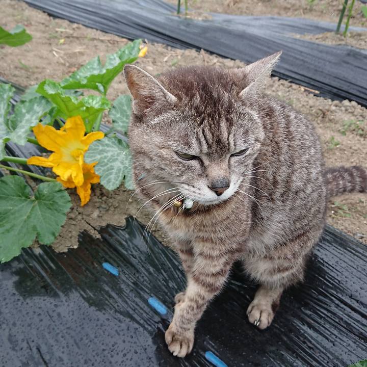 Ab4e456d 5f54 4302 87bd c5ef63b4c1b4 1560549314099