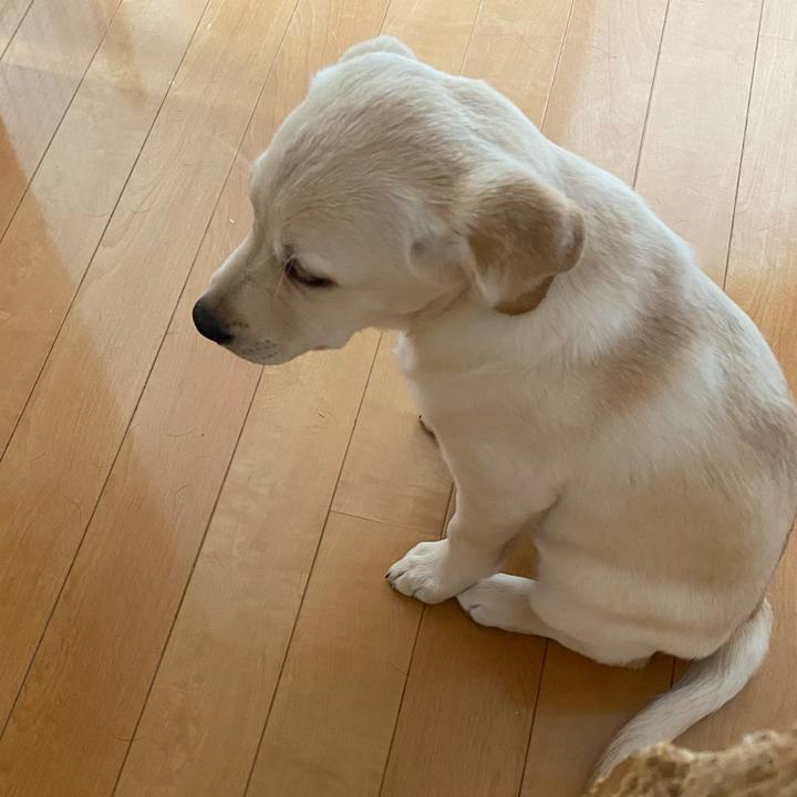 Ab4e4753 adb1 4bd1 bc8f 01894a737dac 1612850822944