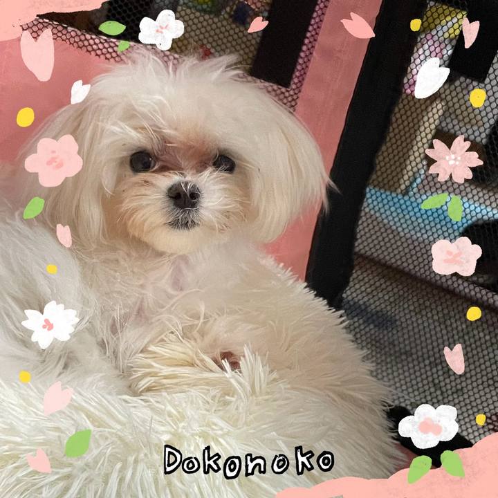 Ab4e88ae a31b 4670 b115 0564b12d4d2f 1711018229410