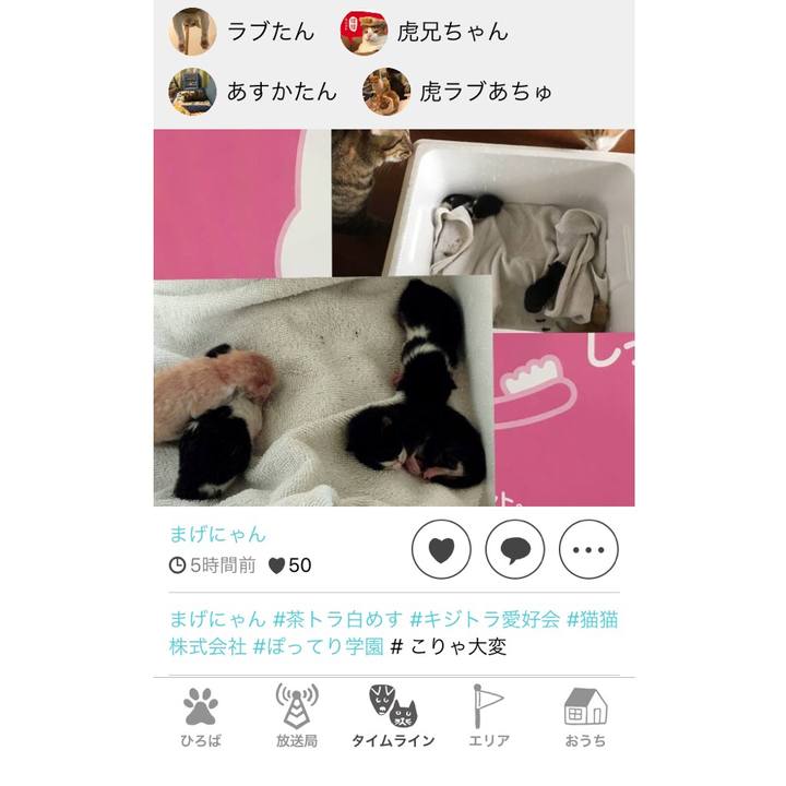 Ab4e90db 35bf 4c26 b5a8 3d9d6377a125 1569319700666