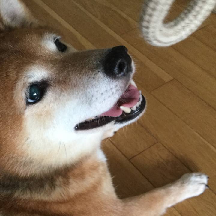 Ab4e948f bcc9 43a8 abef 82ca0a062fb1 1597714532347