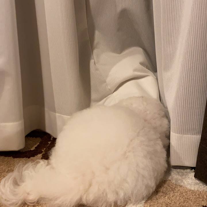 Ab4e9e8e dba8 41fe b49e bb9069b3bebd 1663666531339