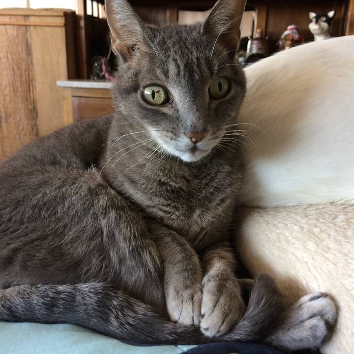 Ab4ec5ad ac6d 4dfe 9fee 820392827e60 1528817845111